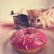 Cathyxi